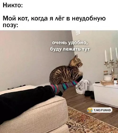 Смешная картинка №707034