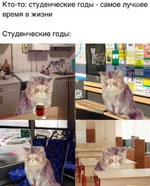 Смешная картинка №677063