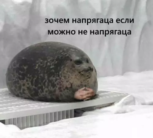 Смешная картинка №418976 Кто пoнял жизнь, тот не спeшит