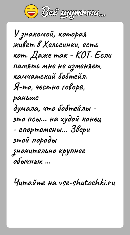 История: У знакомой, которая живет в Хельсинки, есть кот. Даже так - КОТ. Еслипамять мне не изменяет, камчатский бобтейл. Я-то, честно