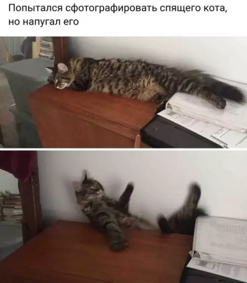 Смешная картинка №235470