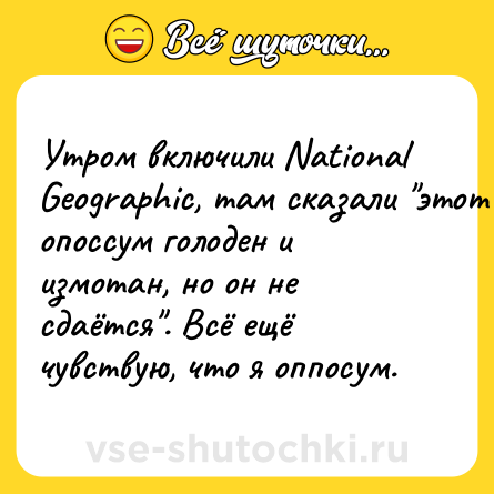 Шутка: Утром включили National Geographic, там сказали 