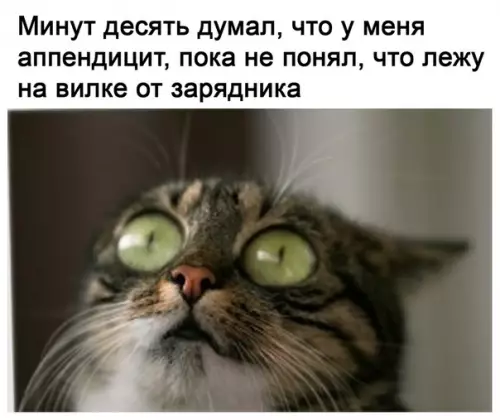 Смешная картинка №509196 Страшный момент