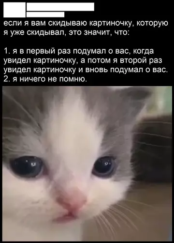 Смешная картинка №758169