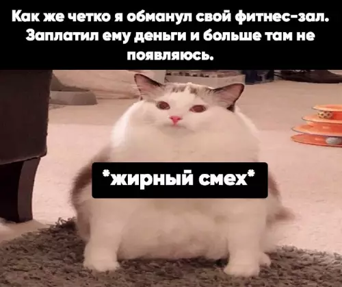 Смешная картинка №691279 фитнес, спорт