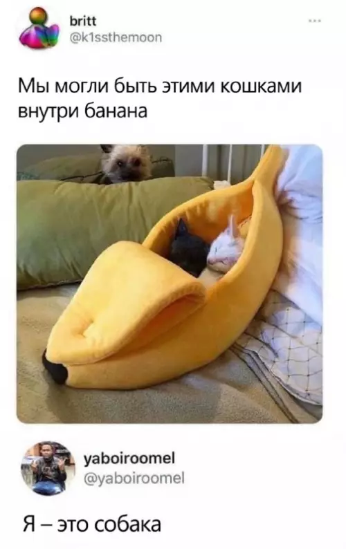 Смешная картинка №664946