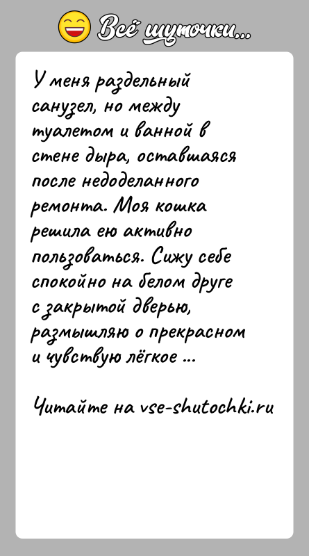 История: У меня раздельный санузел, но между туалетом и ванной в стене дыра, оставшаяся после недоделанного ремонта. Моя кошка решила ею