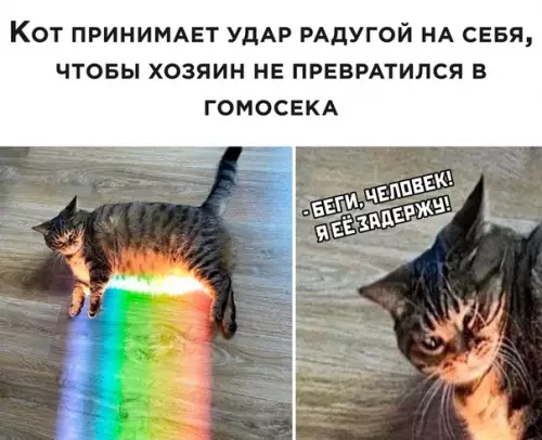 Смешная картинка №513288
