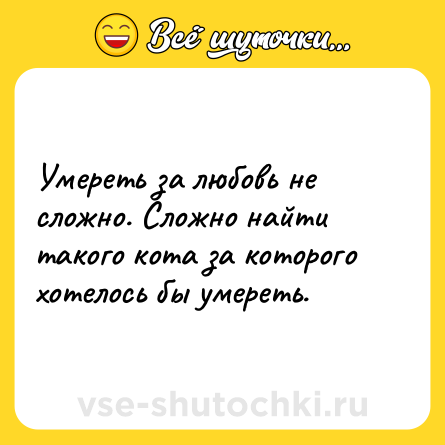 Шутка: Умереть за любовь не сложно. Сложно найти такого кота за которого хотелось бы умереть.