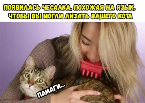Смешная картинка №312298 Купили бы??
