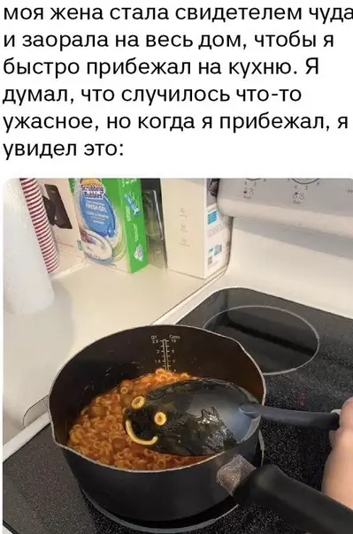 Смешная картинка №495738