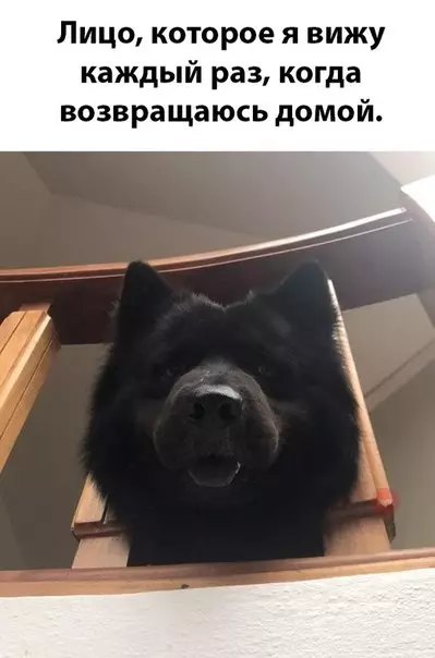 Смешная картинка №279261