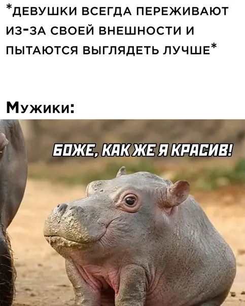Смешная картинка №587463