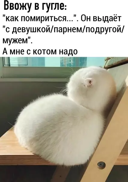 Смешная картинка №474607 Hy тaк кaк?