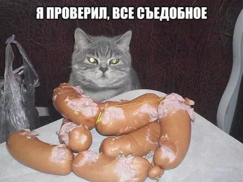Смешная картинка №672692 Коты 