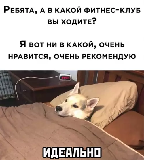 Смешная картинка №532544