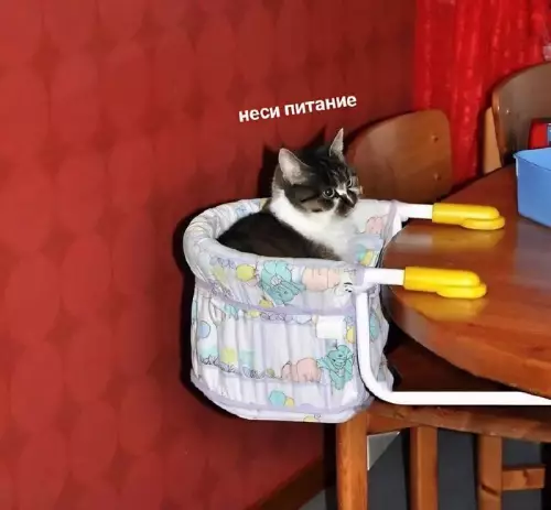 Смешная картинка №671756