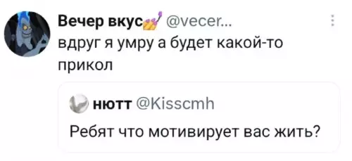 Зачем жить, если не будет прикола? 😂 - Вечер вкус: вдруг я умру а будет какой-то прикол. НЮТТ: