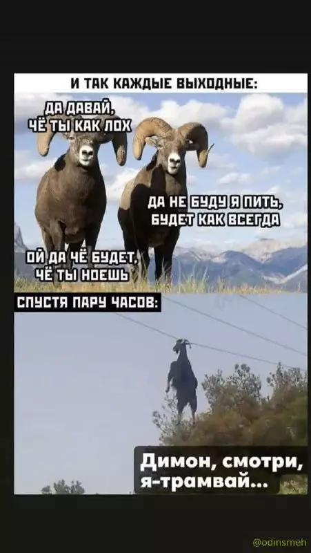 Смешная картинка №660999 картинки