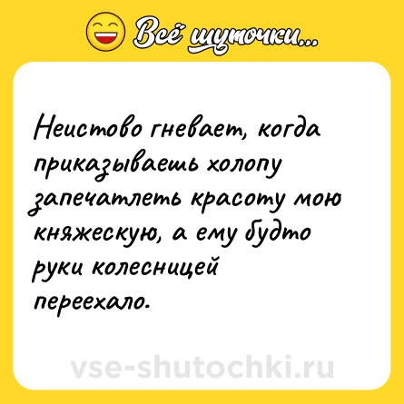 Шутка: Неистово гневает, когда приказываешь холопу запечатлеть красоту мою княжескую, а ему будто руки колесницей переехало.
