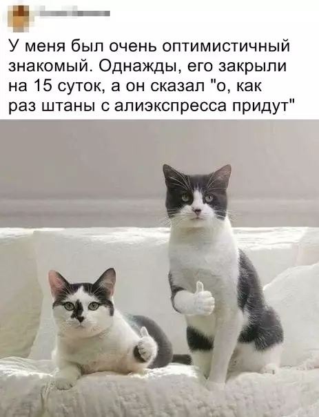 Смешная картинка №444218