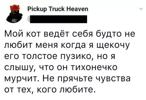 Смешная картинка №524069