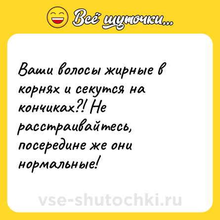 Шутка: Ваши волосы жирные в корнях и секутся на кончиках?! Не расстраивайтесь, посередине же они нормальные!
