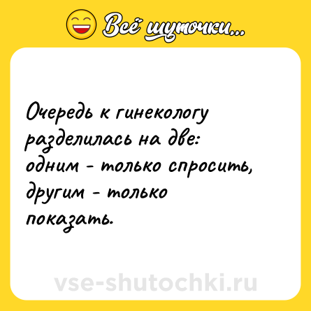 Шутка: Очередь к гинекологу разделилась на две: одним - только спросить, другим - только показать.