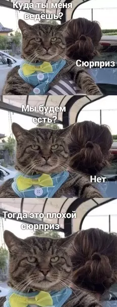 Смешная картинка №498396