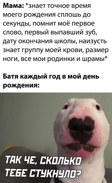 Смешная картинка №548930