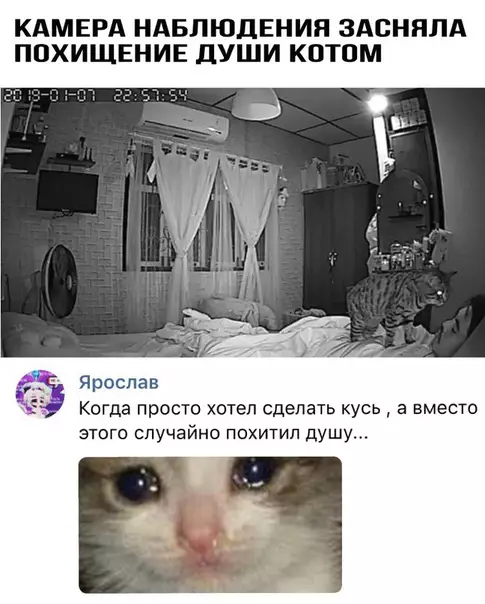 Смешная картинка №323824