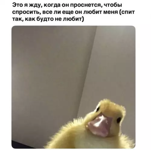 Смешная картинка №776056 Подозрительно  отношения