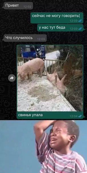 Смешная картинка №508208