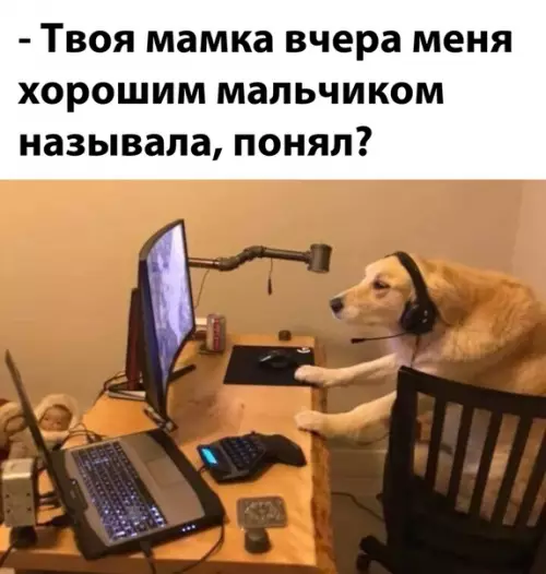 Смешная картинка №527545