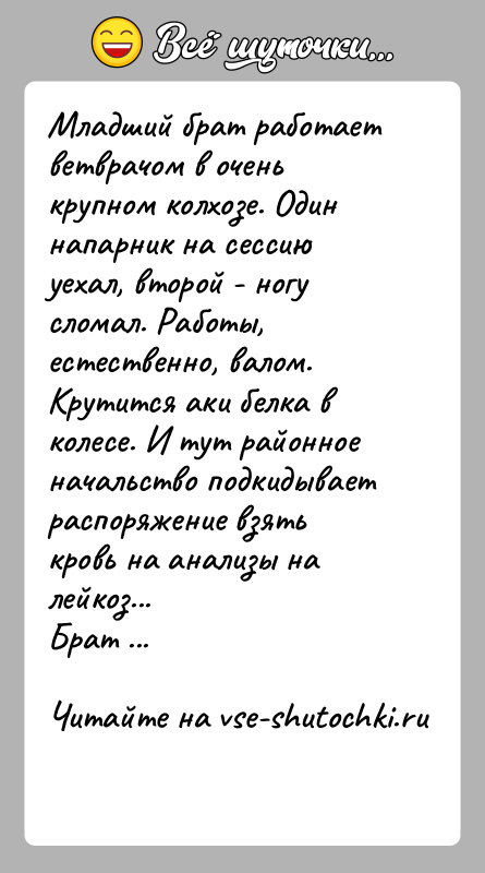 История: Младший брат работает ветврачом в очень крупном колхозе. Один напарник на сессию уехал, второй - ногу сломал. Работы, естественно, валом.