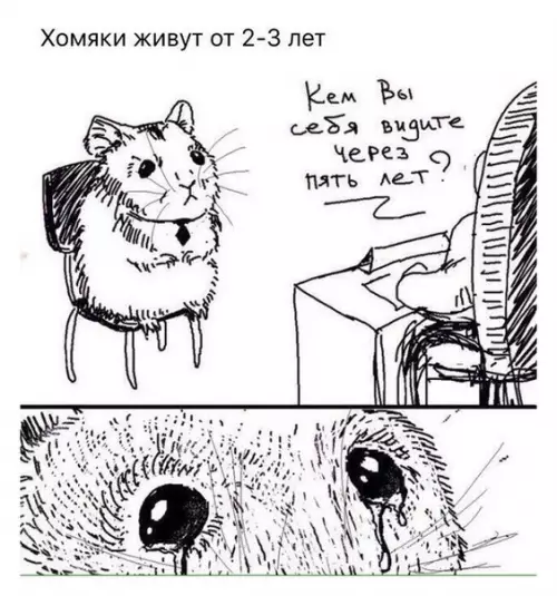 Смешная картинка №335776