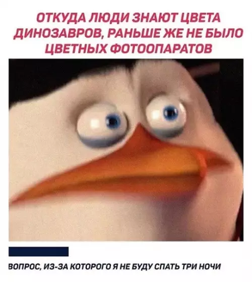 Смешная картинка №485542