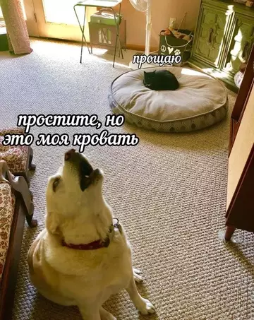 Смешная картинка №758732