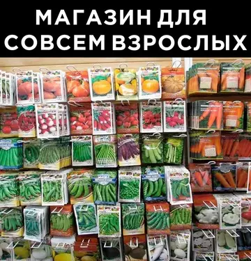 продолжение Смешная картинка №754454