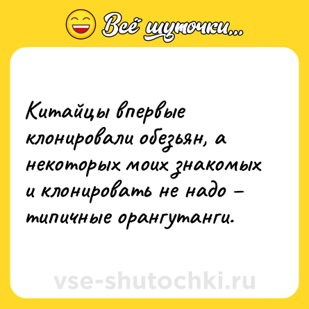 Шутка: Китайцы впервые клонировали обезьян, а некоторых моих знакомых и клонировать не надо – типичные орангутанги.