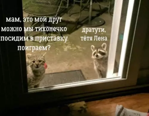 Смешная картинка №298294 Было?