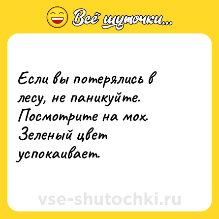Шутка: Если вы потерялись в лесу, не паникуйте.<br>Посмотрите на мох. Зеленый цвет успокаивает. 