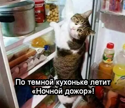 продолжение Смешная картинка №668821 Kaждyю нoчь: