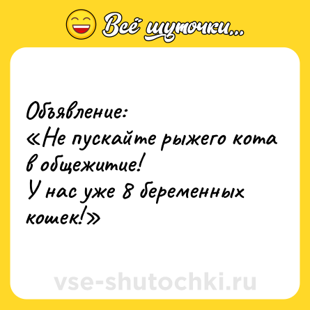 Шутка: Объявление:<br>«Не пускайте рыжего кота в общежитие!<br>У нас уже 8 беременных кошек!»