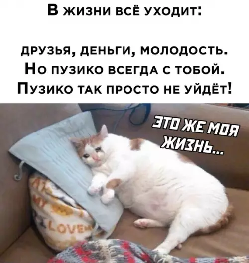 Смешная картинка №582077