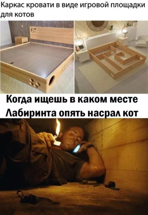 Смешная картинка №687277 Да вообще идея была так себе