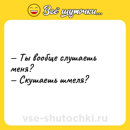 Шутка: — Ты вообще слушаешь меня? <br>— Скушаешь шмеля?