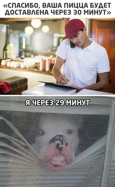 Смешная картинка №551766
