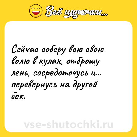 Шутка: Сейчас соберу всю свою волю в кулак, отброшу лень, сосредоточусь и… перевернусь на другой бок.