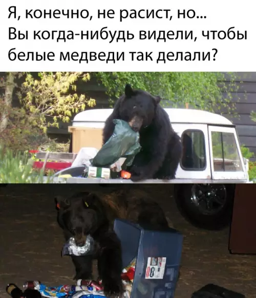 Смешная картинка №673427